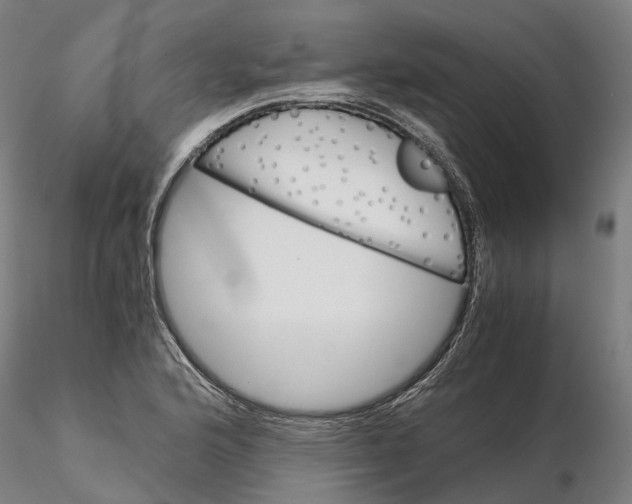 X0000115701176200912031458