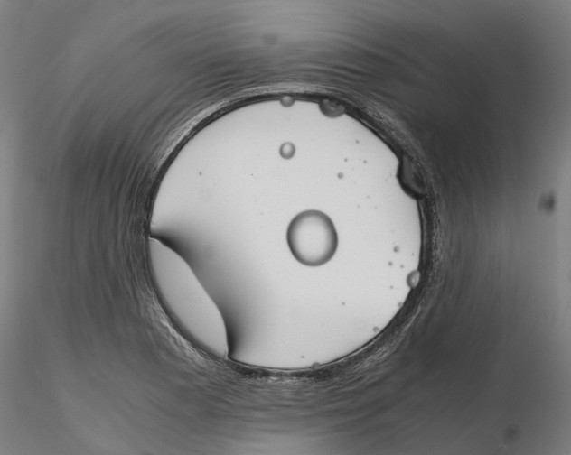 X0000115701177200912031458