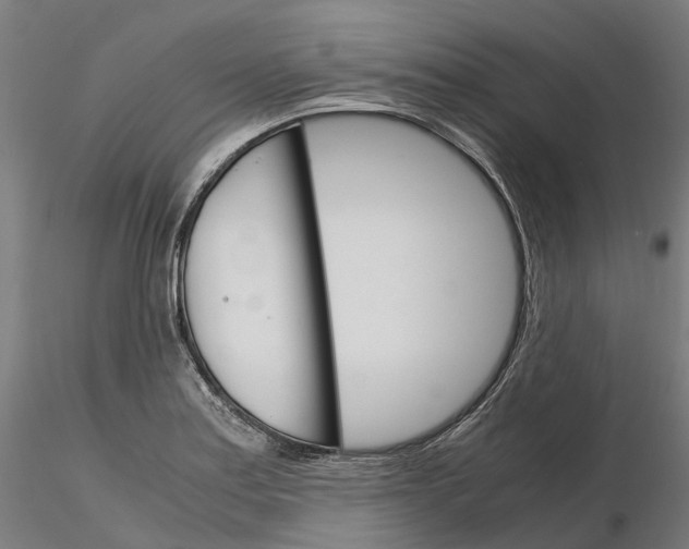 X0000115701179200912031458