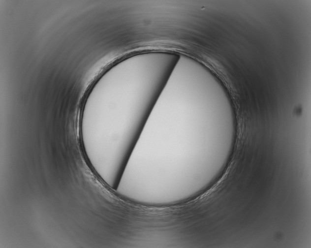 X0000115701180200912031458