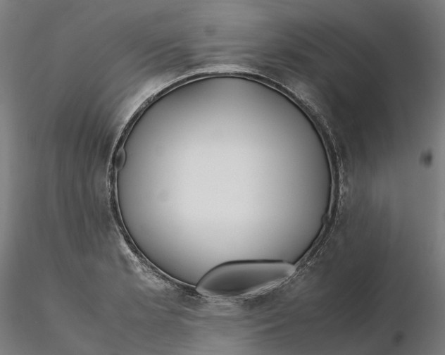 X0000115701181200912031458