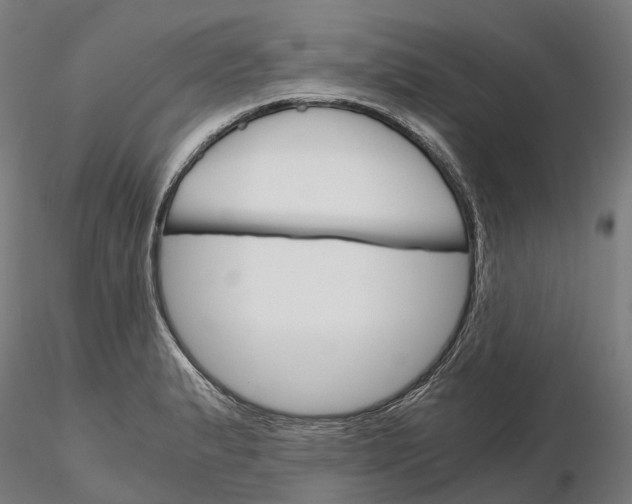 X0000115701183200912031458