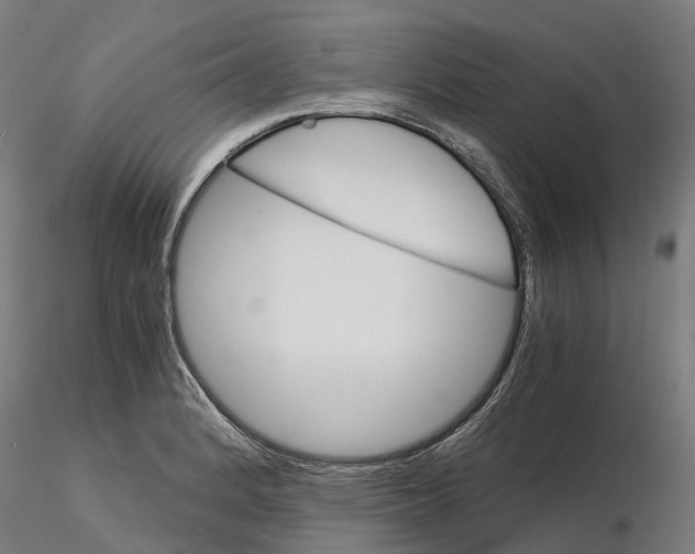 X0000115701184200912031458