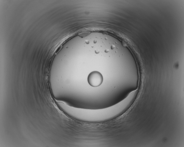 X0000115701185200912031458