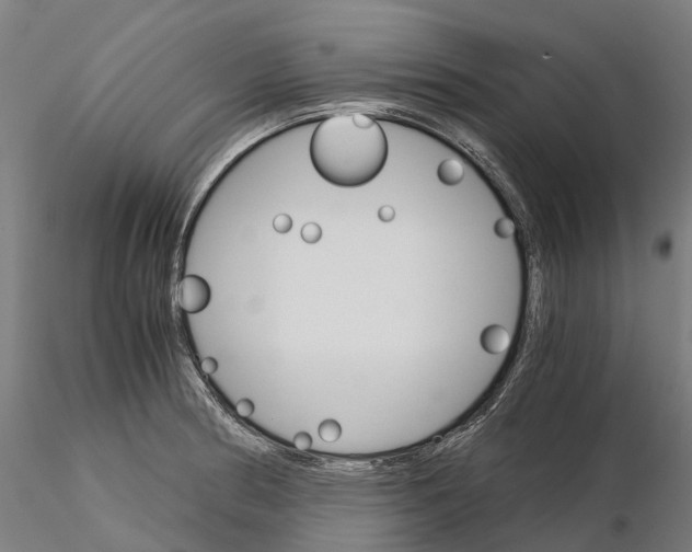 X0000115701186200912031458