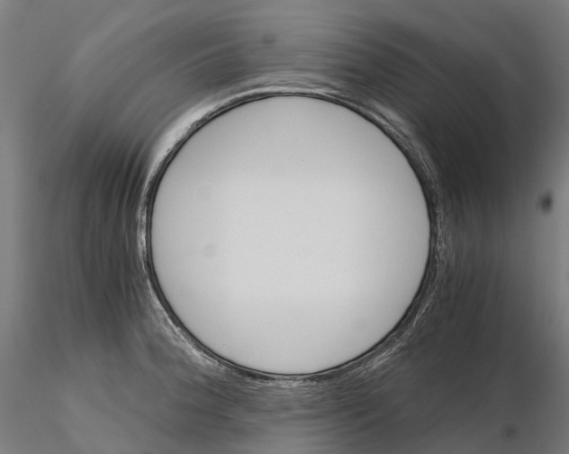 X0000115701188200912031458