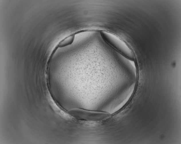 X0000115701189200912031458