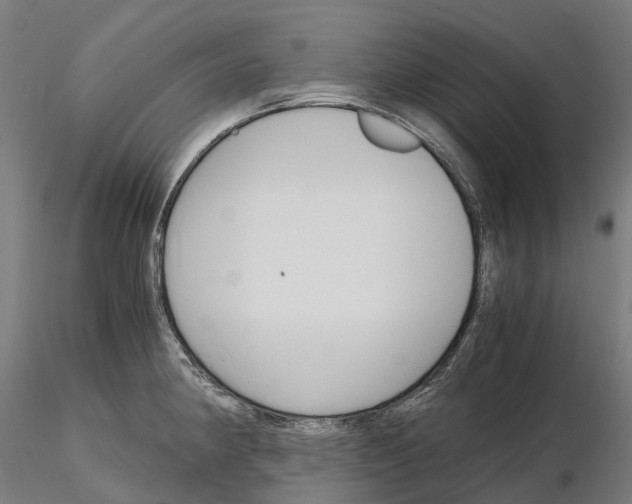 X0000115701190200912031458