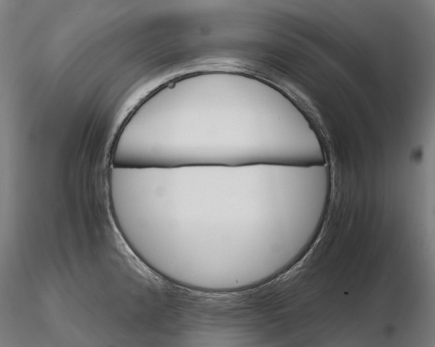 X0000115701192200912031458