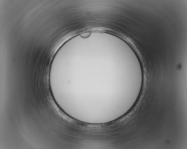 X0000115701194200912031458