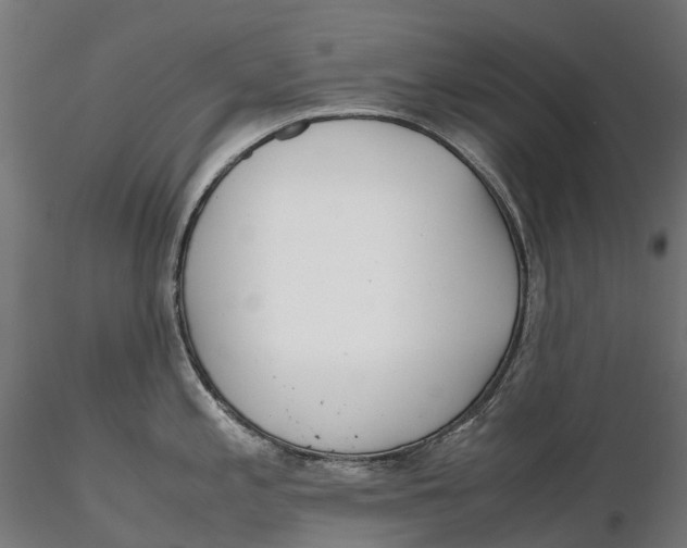 X0000115701197200912031458