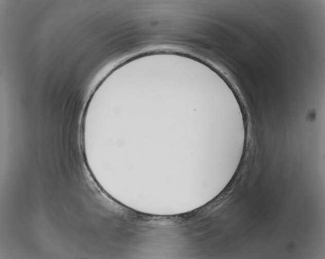 X0000115701199200912031458