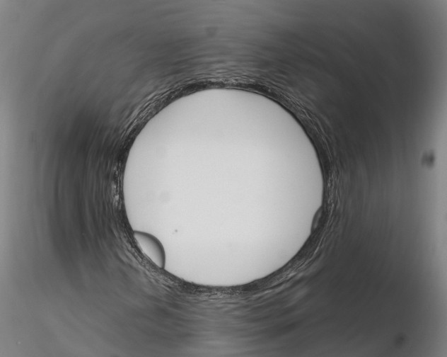 X0000115701202200912031457