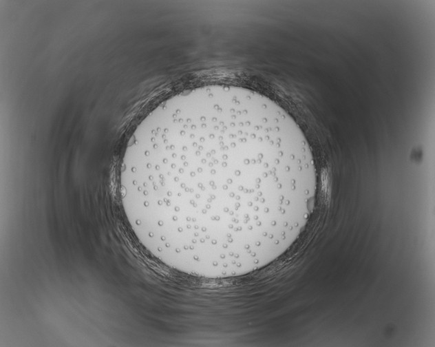 X0000115701203200912031457