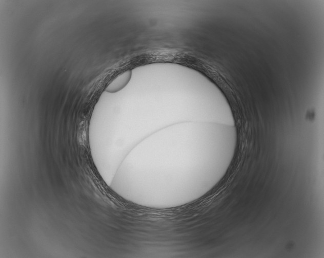 X0000115701204200912031457