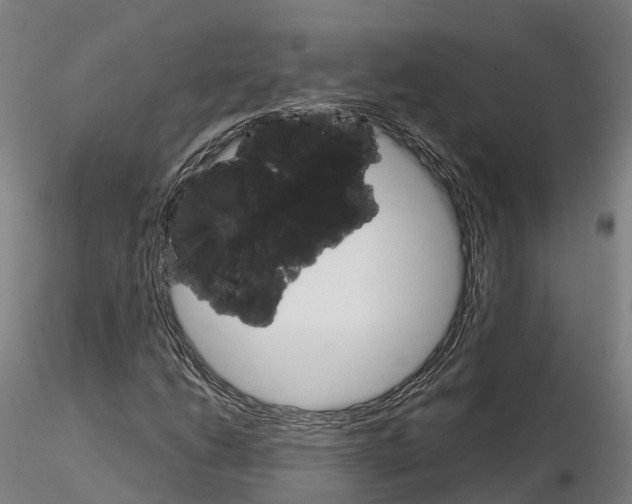 X0000115701206200912031457