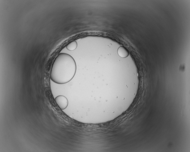 X0000115701208200912031457