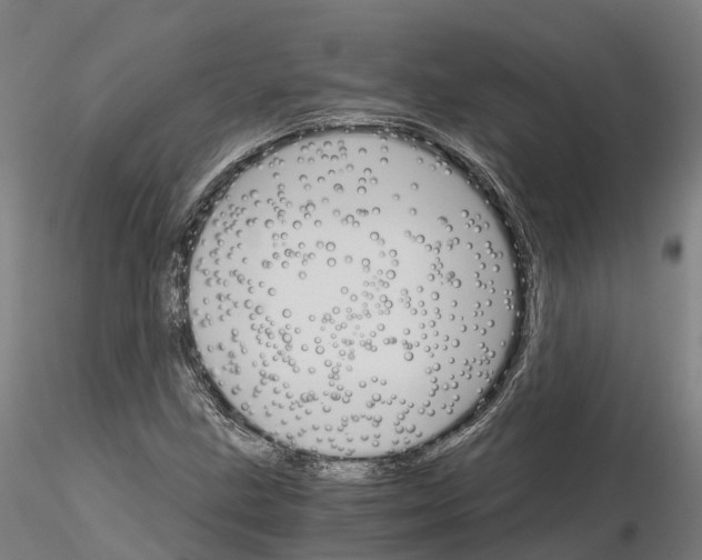 X0000115701211200912031457