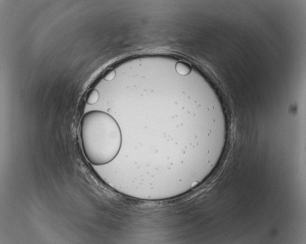 X0000115701212200912031457