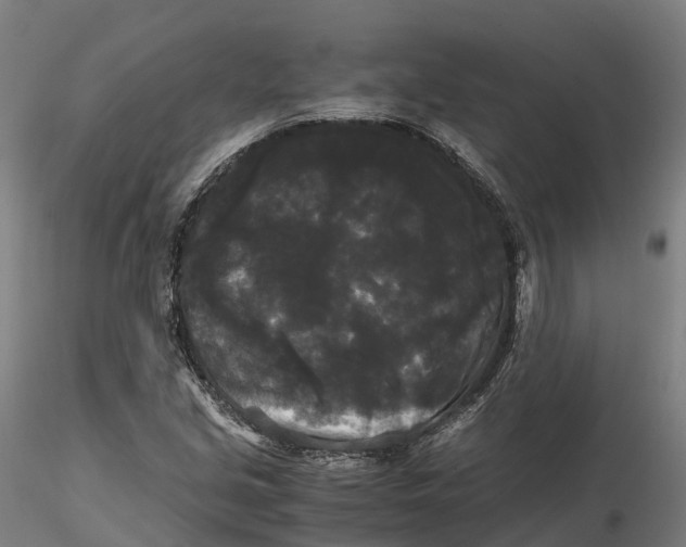 X0000115701213200912031457