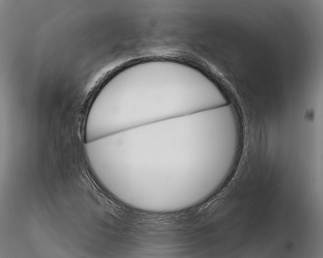 X0000115701214200912031457