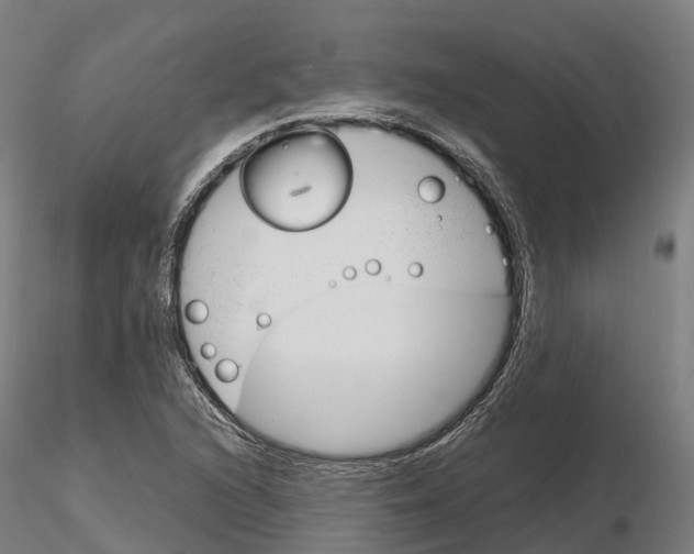 X0000115701216200912031457