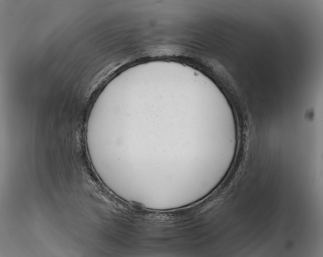 X0000115701217200912031457