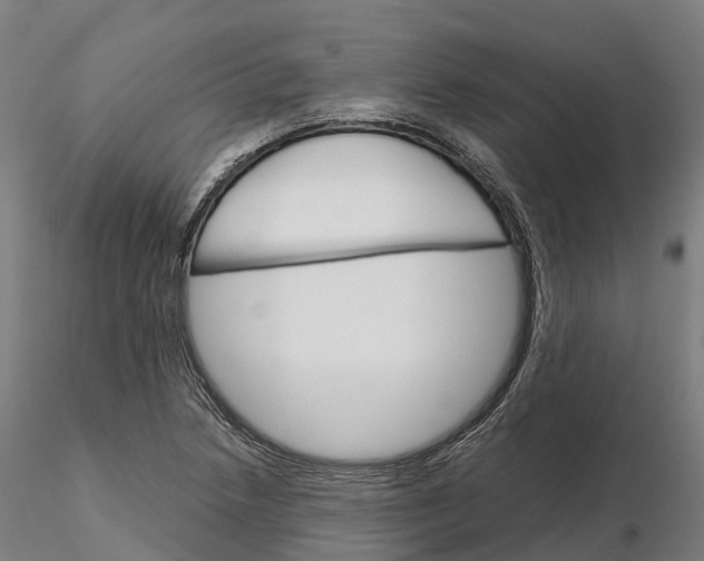 X0000115701218200912031457