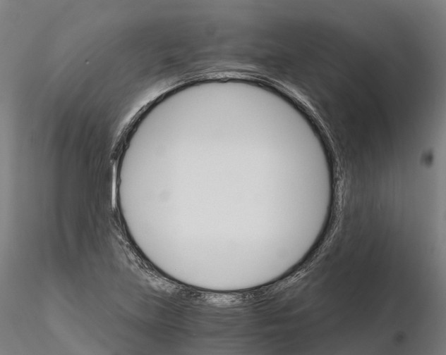 X0000115701219200912031457