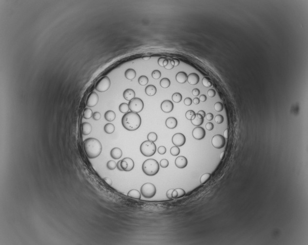 X0000115701220200912031457