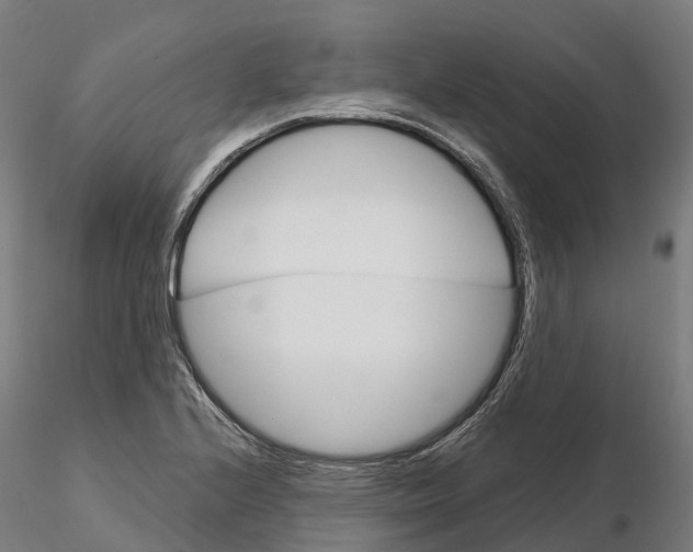 X0000115701224200912031457