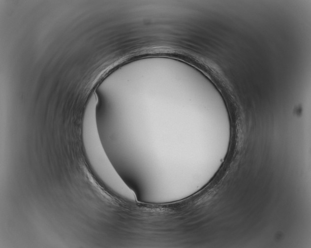 X0000115701225200912031457