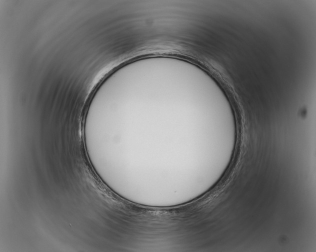 X0000115701226200912031457