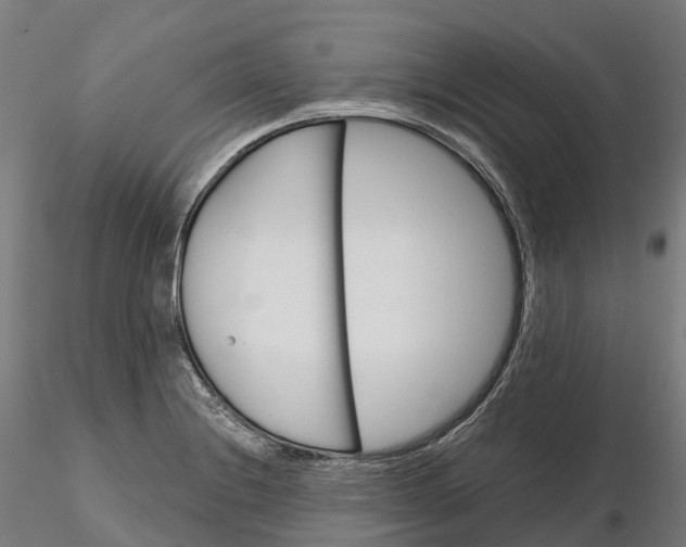 X0000115701228200912031458