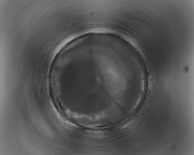 X0000115701229200912031458