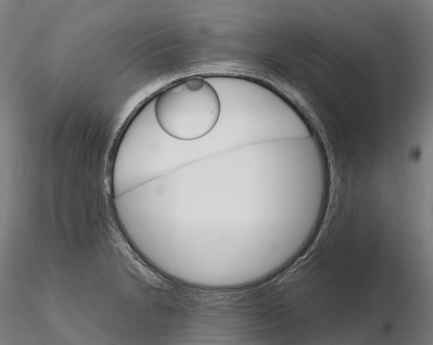 X0000115701230200912031458