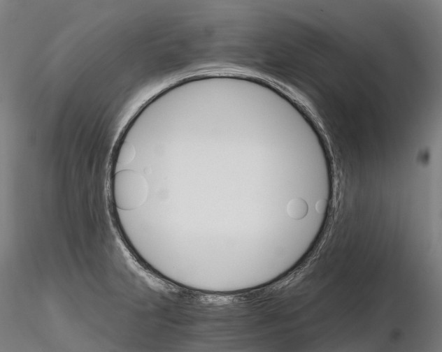 X0000115701231200912031458