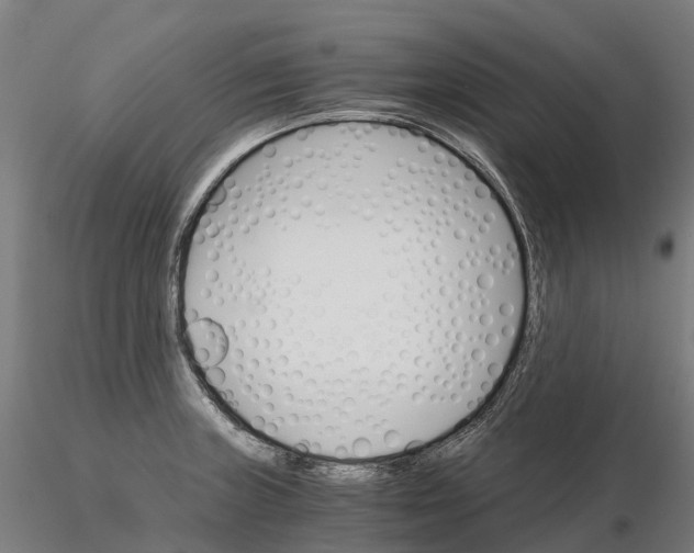 X0000115701235200912031458