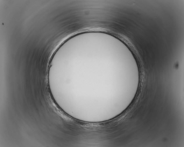 X0000115701236200912031458