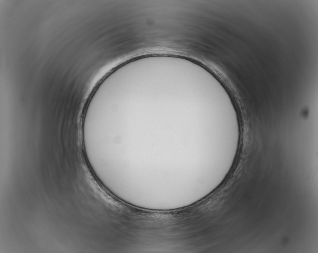 X0000115701238200912031458