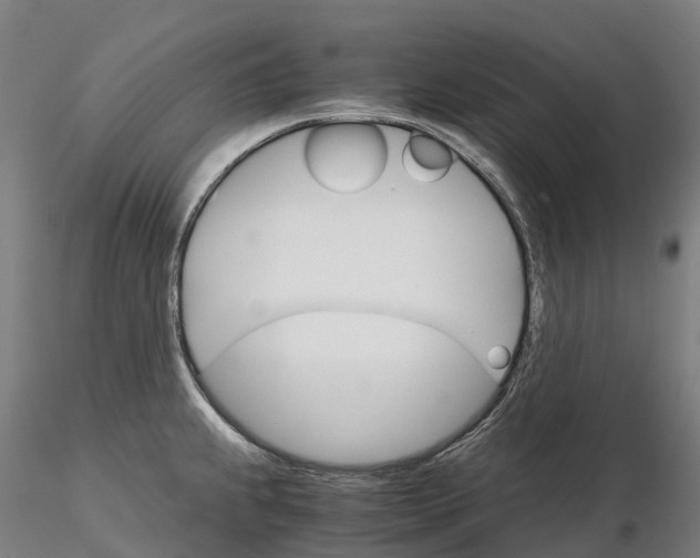 X0000115701239200912031458