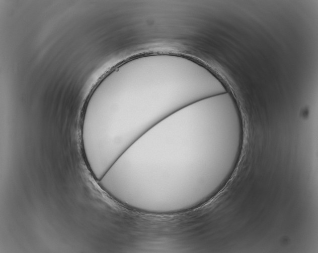 X0000115701240200912031458