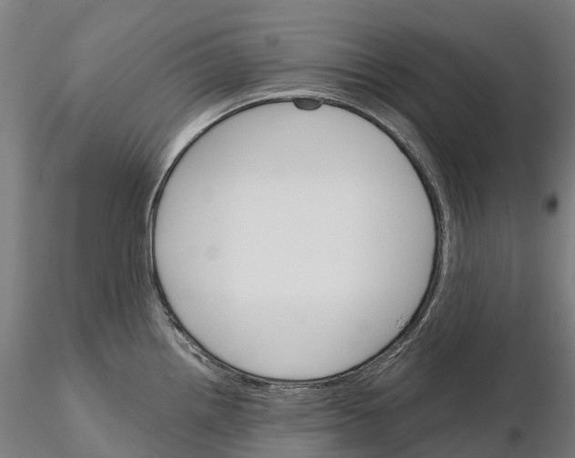 X0000115701242200912031458