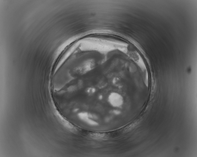 X0000115701245200912031458