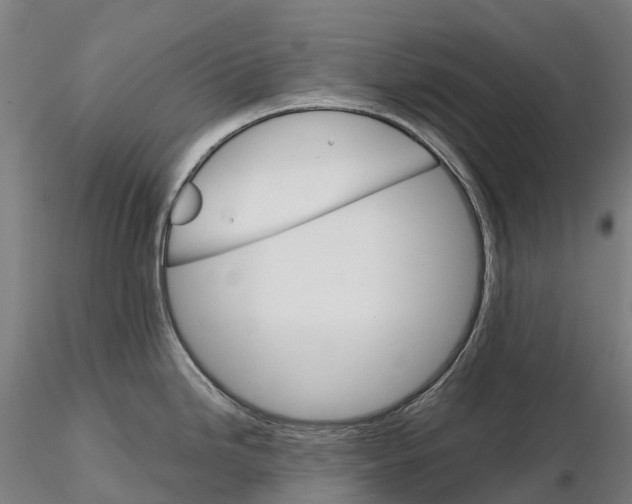 X0000115701246200912031458