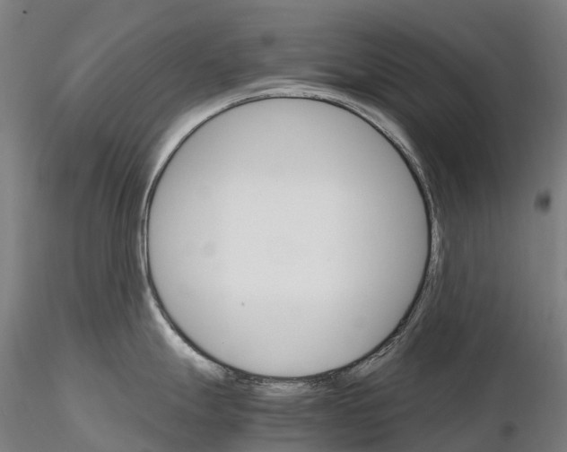 X0000115701247200912031458