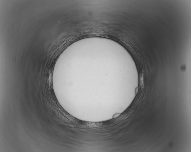 X0000115701251200912031457