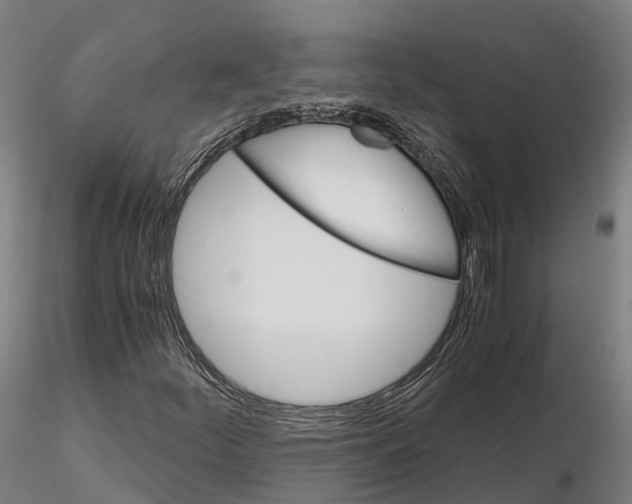 X0000115701252200912031457