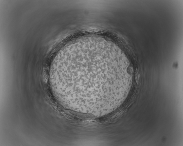 X0000115701253200912031457