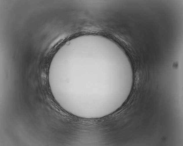 X0000115701254200912031457